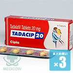 タダシップ 20mg 12錠