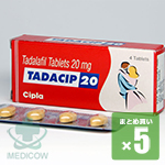 タダシップ 20mg 20錠