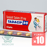 タダシップ 20mg 40錠